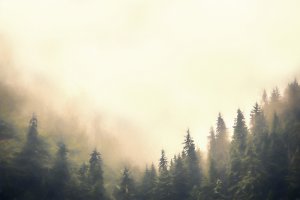 Unternchte Foto: ©  pixelparticle @ shutterstock