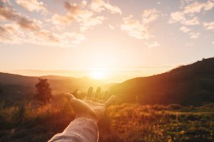Urahnen Foto: ©  kitzcorner @ shutterstock