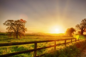 Uriella - Fiat Lux Foto: ©  Simon Bratt @ shutterstock
