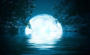 Vollmond Foto: ©  Laura Crazy @ shutterstock
