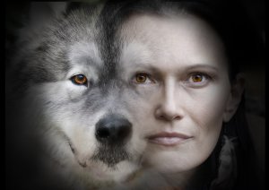 Werwolf Foto: ©  Kuznetsov Alexey @ shutterstock