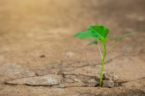Wunder Foto: ©  Alek.jpeg @ AdobeStock