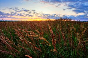 Zeugen Jehovas Foto: ©  DeltaOFF @ shutterstock