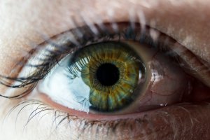 Zweites Gesicht Foto: ©  Rokas Tenys @ shutterstock
