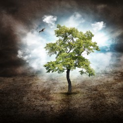 Baum des Lebens  Foto: ©  Haywiremedia @ shutterstock