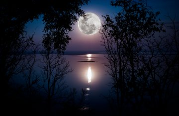Der Mond  Faszination am Himmel Foto: ©  kdshutterman @ shutterstock
