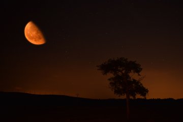 5 Dinge, die Sie whrend der abnehmenden Mondphase tun knnen Foto: ©  yobli @ shutterstock