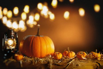 Halloween - ein mystisches Fest mit einer langen Tradition Foto: ©  stockcreations @ shutterstock