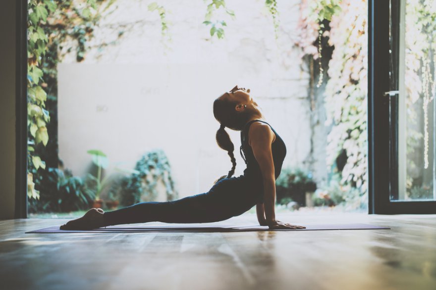 Was genau ist Yoga, Formen des Yoga Foto: ©  SFIO CRACHO @ shutterstock