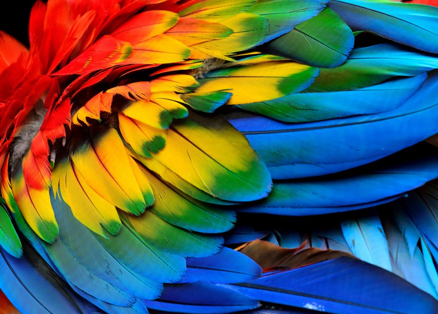 Der Einfluss der Farben Foto: ©  Super Prin @ shutterstock
