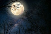 Der Mond, die Frau im Mond und die Bedeutung von Lilith in der Astrologie  Foto: ©  jakkapan.jpeg @ AdobeStock