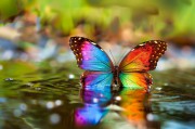 Coming-Out und Akzeptanz: Wie Sie als Freund und Familie untersttzen knnen  Foto: ©  Jordi.jpeg @ AdobeStock