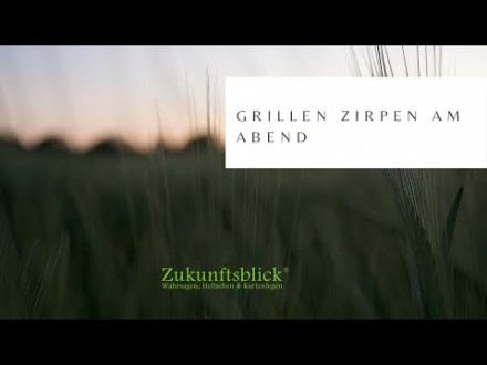 Grillen - Zirpen am Abend Foto: © Eugene R @ Shutterstock