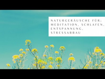Meditation am Bach Foto: © thapter18 @ Shutterstock