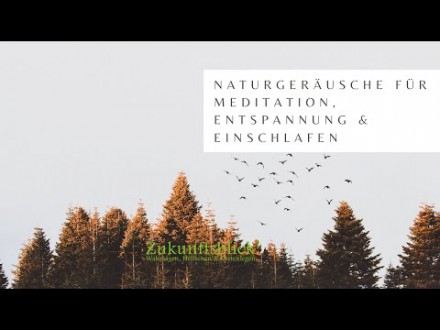 Meditation im Wald Foto: © Subbotina Anna @ Shutterstock