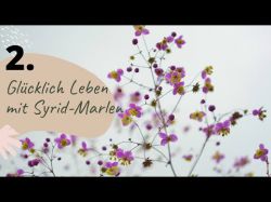 Das Glck Leben- Teil 2: Das ssse Nichtstun mit Syrid-Marlen Foto: © Eigenproduktion @ Zukunftsblick
